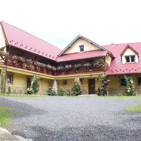 Bed and Breakfast Dom Na Klonowym Wzgorzu Stronie Śląskie Exterior foto