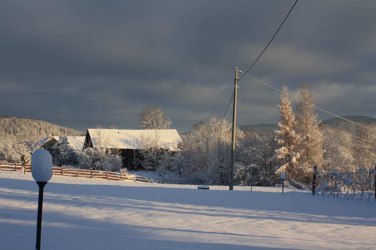 Bed and Breakfast Dom Na Klonowym Wzgorzu Stronie Śląskie Exterior foto