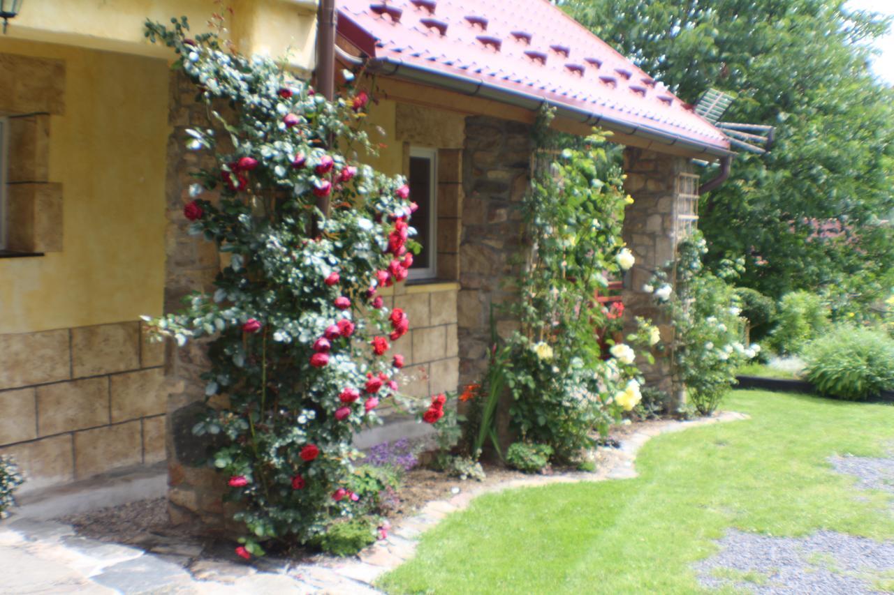 Bed and Breakfast Dom Na Klonowym Wzgorzu Stronie Śląskie Exterior foto