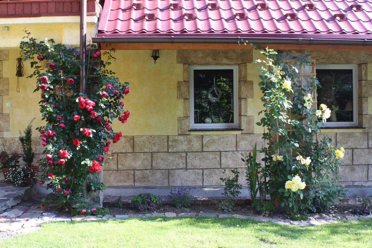 Bed and Breakfast Dom Na Klonowym Wzgorzu Stronie Śląskie Exterior foto