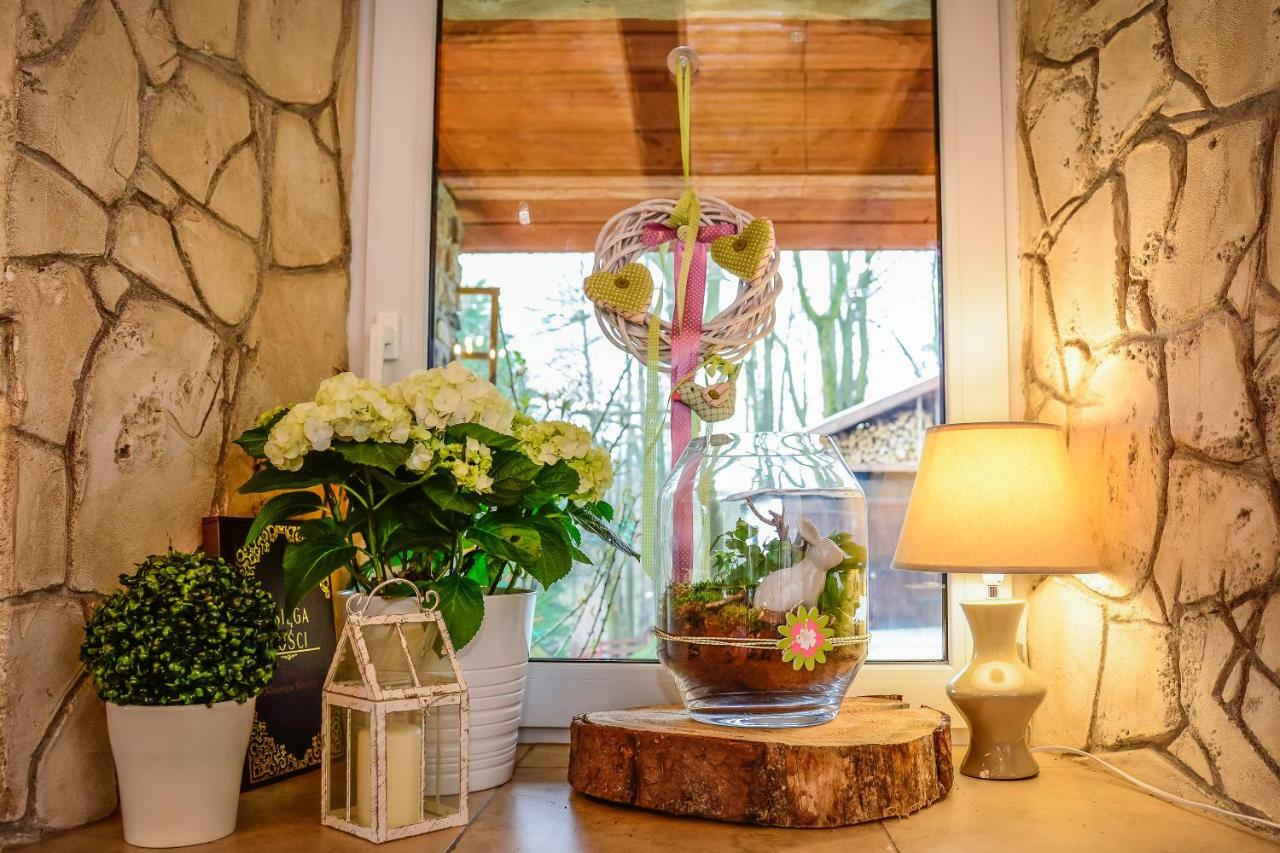 Bed and Breakfast Dom Na Klonowym Wzgorzu Stronie Śląskie Exterior foto